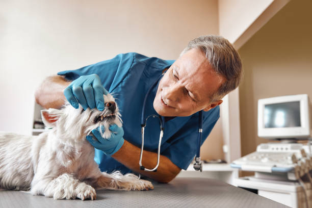 Best Emergency Root Canal Treatment in Tuckerton, NJ