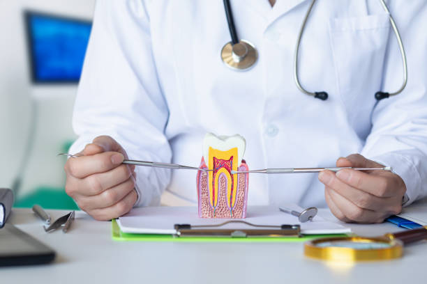 Best Emergency Dental Care for Abscessed Tooth in Tuckerton, NJ